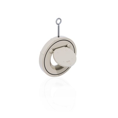 FROM - Valvola di ritegno a clapet DN 32÷400