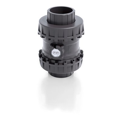 SSEIV/A316 - Valvola di ritegno bighiera Easyfit a molla DN 65:100