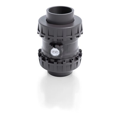 SSEAV/A316 - Valvola di ritegno bighiera Easyfit a molla DN 65:100