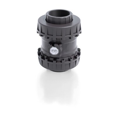 SSEGV/A316 - Valvola di ritegno bighiera Easyfit a molla DN 65:100